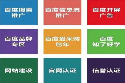 成功案例：网站sem托管如何影响销售数据